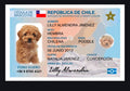 Carnet de mascota