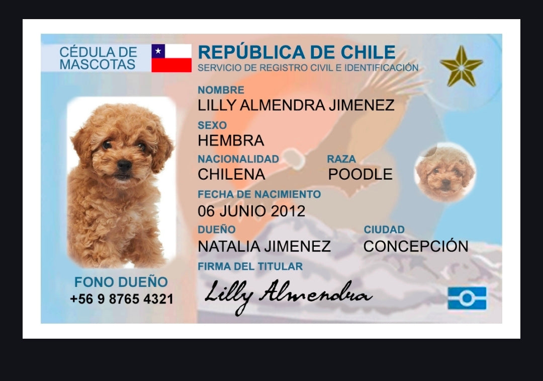 Carnet de mascota